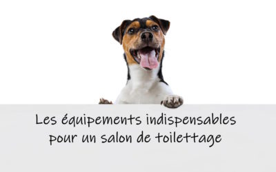 Les équipements indispensables dans un salon de toilettage