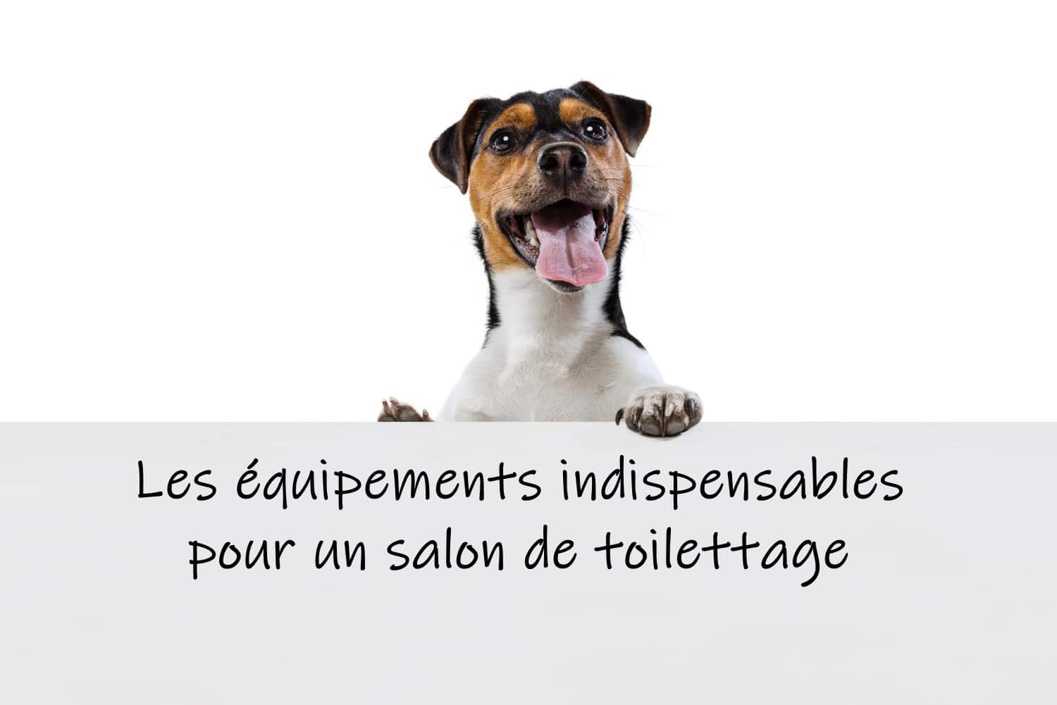 équipements salon toilettage