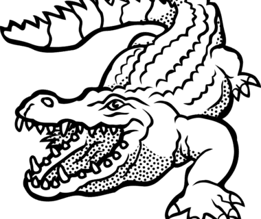 découvrez des conseils essentiels pour garantir la sécurité autour des crocodiles. apprenez à éviter les dangers et à respecter ces créatures fascinantes dans leur habitat naturel.