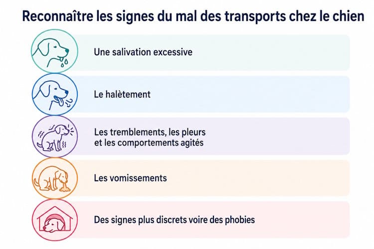 signes du mal de transport